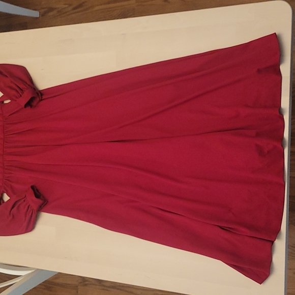 Fabulous 1970s International Ladies Garment Workers Union Vintage Deep Red Dress - Picture 14 of 17